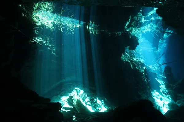 Chac Mool Cenote — Zdjęcie stockowe