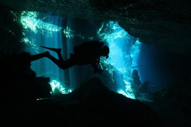 Cenote Diving clipart