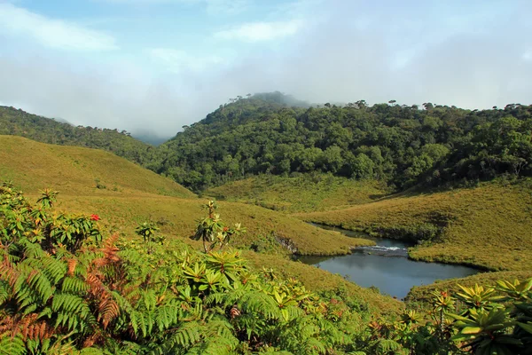 Národní park Horton Plains — Stock fotografie