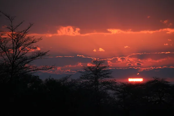 Puesta de sol en el río Kwando —  Fotos de Stock