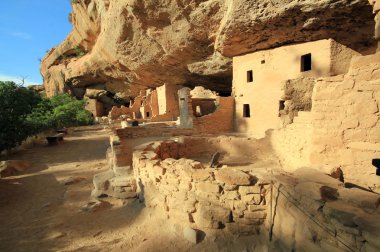 Mesa verde Ladin ağaç evi