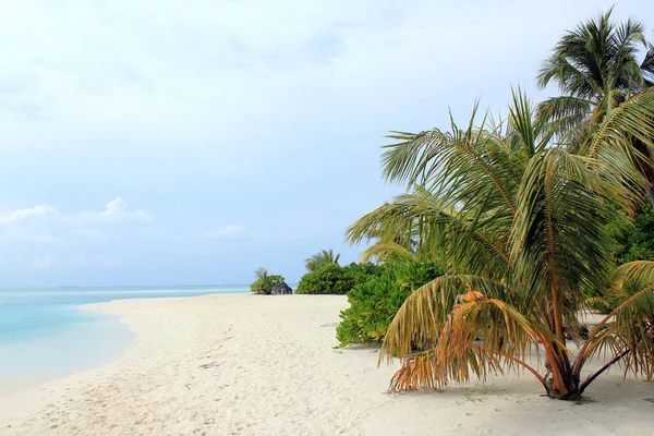 Napsziget Strandja Nalaguraidhoo Dél Ari Atoll Maldív Szigetek — Stock Fotó