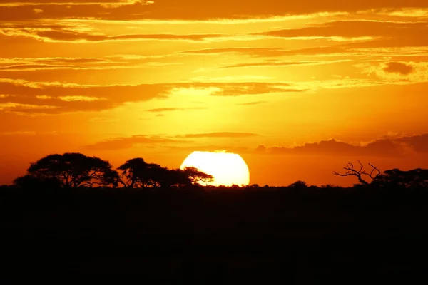 安博塞利的日落 大下降的太阳板与燃烧橙色天空 肯尼亚安博塞利 — 图库照片