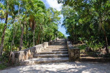 Maya harabeleri ana tapınağa giden merdivenleri gösteriyor..