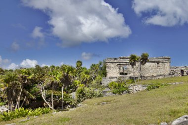 Öğleden sonra ormanın ortasında Tulum arkeolojik kalıntıları