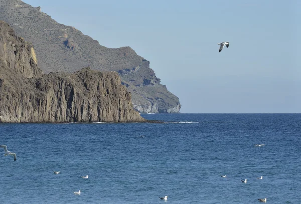 Cabo de Gata naturpark – stockfoto