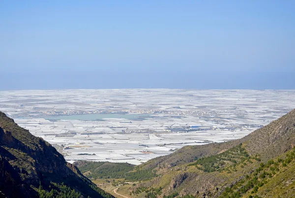 Das Plastikmeer in Südeuropa — Stockfoto