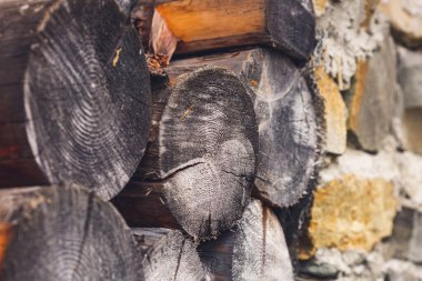 Bir sürü odun. Kütüklerin kesiti. Ahşap doku.