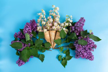 Mavi arka planda kestane çiçekli üç tatlı çıtır gofret fincanı..