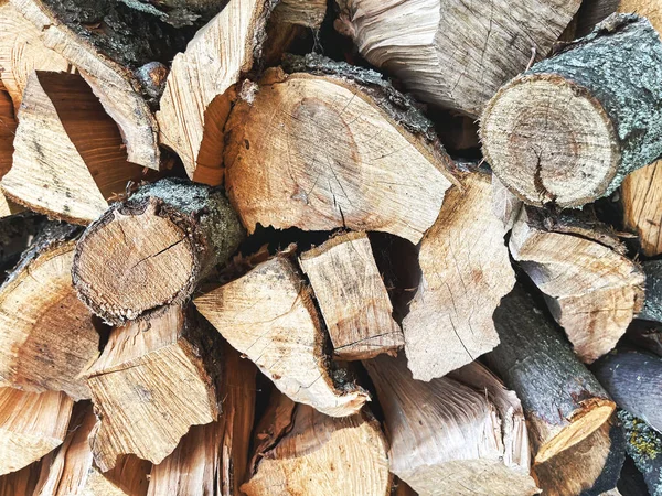 Bir Sürü Kuru Odun Yakın — Stok fotoğraf