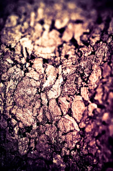 Abstract texture of cork for wine — Stock Photo, Image