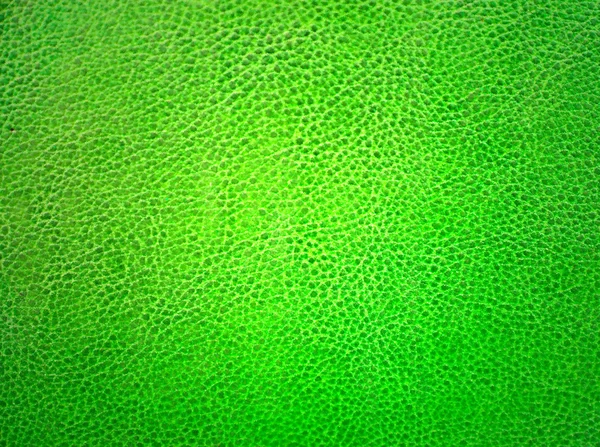 Groene lederen materiaal — Stockfoto