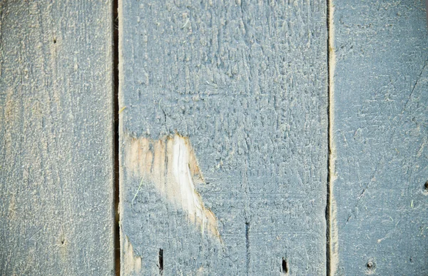 Gray wood texture — Stock Photo, Image