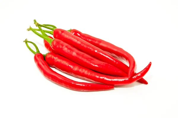 Mladí chilli papričky — Stock fotografie