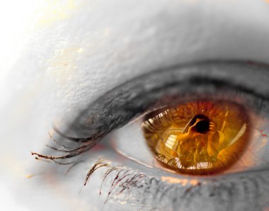 güzel kahverengi göz yakın çekim