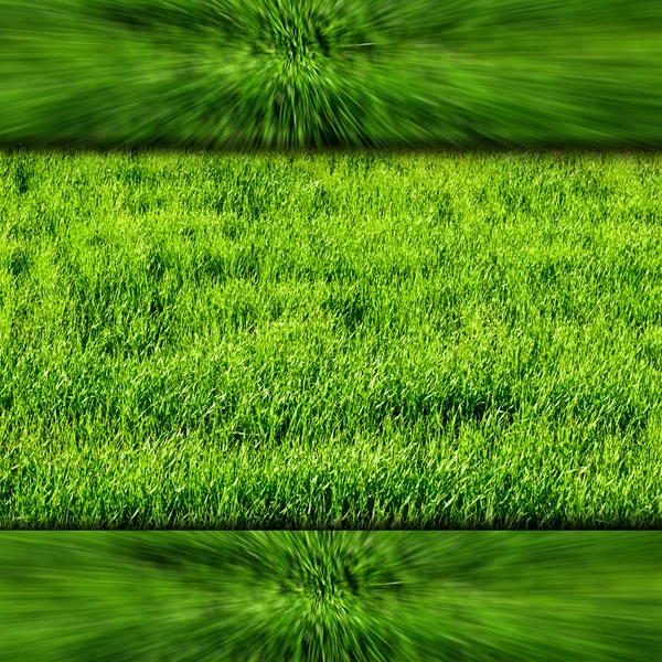 Rama z zielonej i trawy — Zdjęcie stockowe