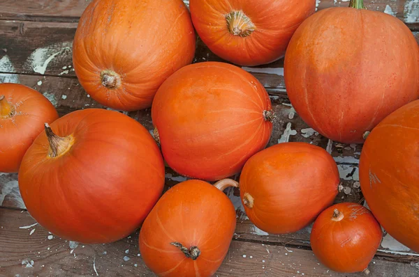 Pumpkins — Stock Photo, Image