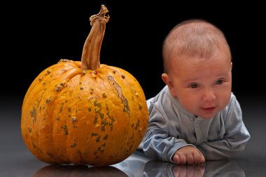 küçük balkabakları