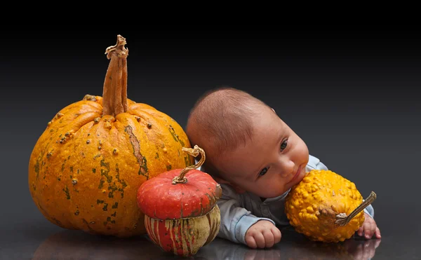 Little pumpkins — Stock Photo, Image
