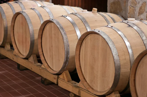 Barricas de vino en una bodega —  Fotos de Stock