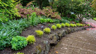 Hammond Kamelya Bahçesi. Hamilton Gardens, Yeni Zelanda 'da bir meydan