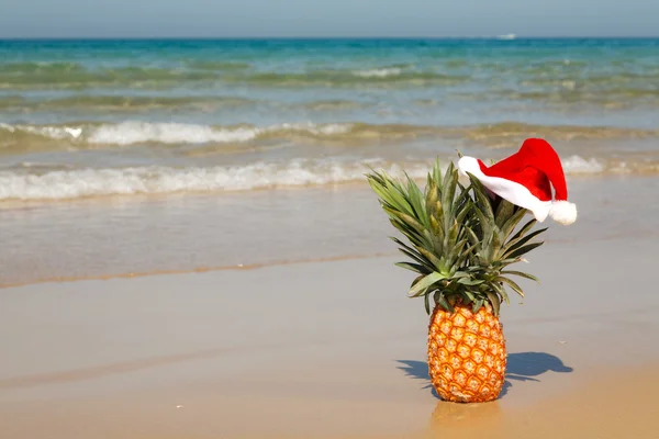 Pineapple at santa hat . — Stock Fotó