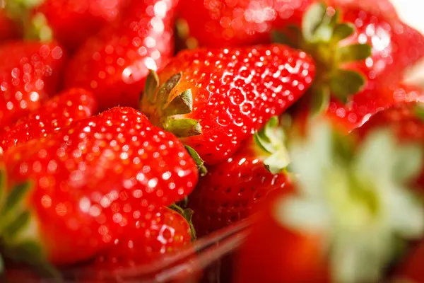 Verse rijpe perfecte strawberries.selective focus — Stockfoto