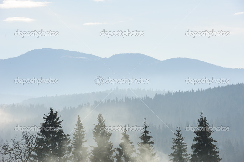 morning in the carpathian mountains