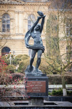 anıt onuruna ölümsüz valor Sağlık görevlilerinin, lviv, Ukrayna