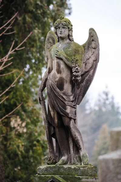 墓穴上伤心的天使 — 图库照片