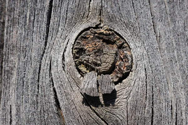 Cracked aged wooden board with knot — Stock Photo, Image