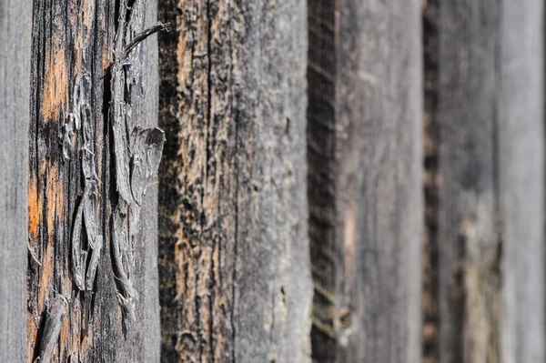 Cracked aged wooden boards — Stock Photo, Image