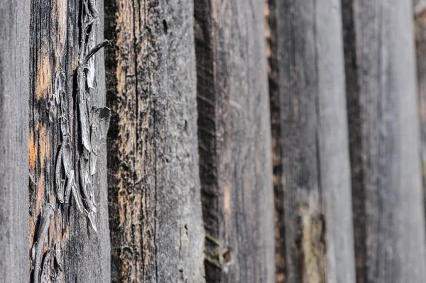 Cracked aged wooden boards — Stock Photo, Image