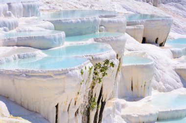 Traverten havuzları, pamukkale, Türkiye