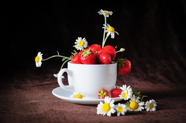 Camomilla e fragole in tazza — Foto Stock