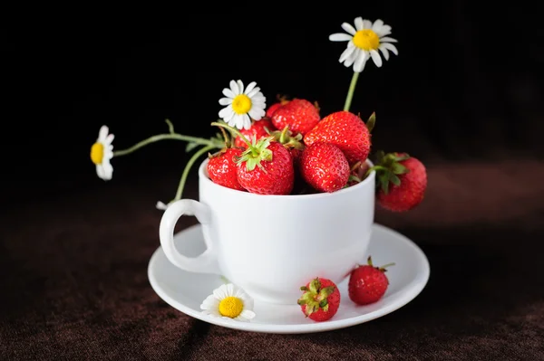 Chamomiles 和草莓在杯中 — 图库照片