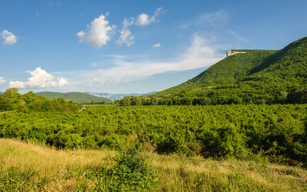 Hohe Bergklippe auf der Krim — Stockfoto