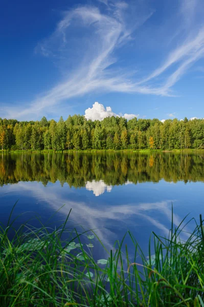 Northern river and woods — Stock Photo, Image