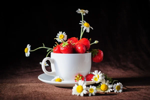 Camomilla e fragole in tazza — Foto Stock