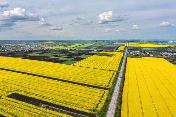 Hava görüntüsü, sarı tarımsal alandaki küçük bulutlar, telif alanı.