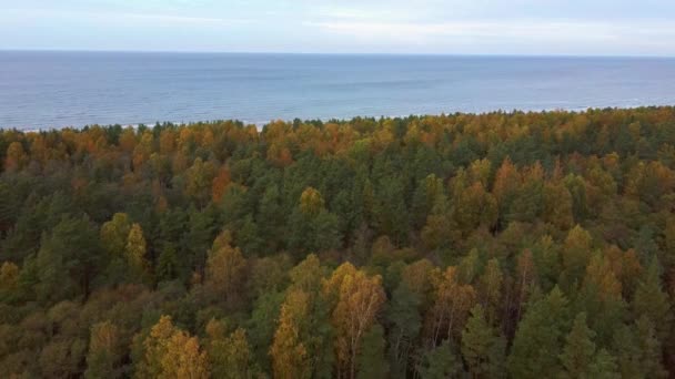 Coastal Defence Batteries Olmani Latvia Super Secret Soviet Military Heritage — Stock Video