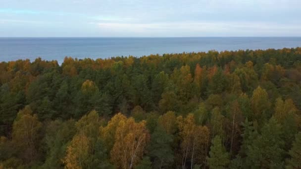 Küstenschutzbatterien Olmani Lettland Supergeheimes Sowjetisches Militärerbe Die Batterie Wurde Mit — Stockvideo