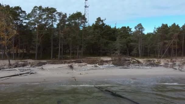 Stranden Efter Stormen Med Fallna Träd Och Stammar Storm Broken — Stockvideo