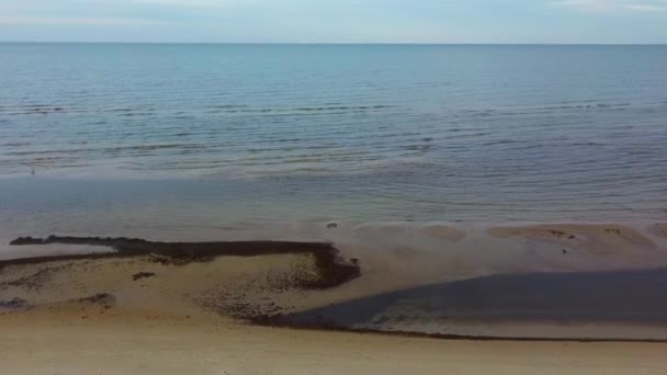 Fisherman Catches Flounder Nel Capo Kolka Mar Baltico Lettonia Vista — Video Stock