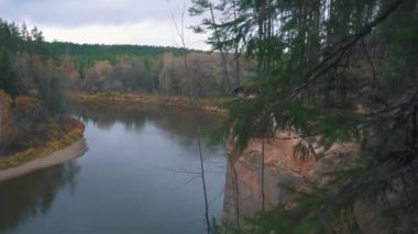 Erglu Kayalıkları ve Gauja Nehri Cesis, Letonya Büyük Manzarası. Gauja Ulusal Parkı 'ndaki Sonbahar Manzarası Kızıl Kayalar Taş Kayalıkları ve Nehir. Stedicam Dolly 4K 'yı vurdu.