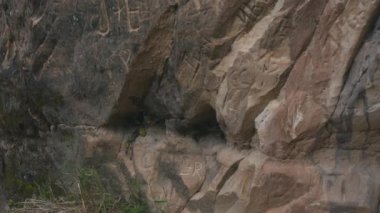 Erglu Kayalıkları ve Gauja Nehri Cesis, Letonya Büyük Manzarası. Gauja Ulusal Parkı 'ndaki Sonbahar Manzarası Kızıl Kayalar Taş Kayalıkları ve Nehir. Stedicam Dolly 4K 'yı vurdu.