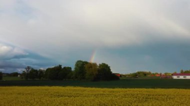 Şiddetli Bulutlar Altında Şiddetli Bulutlar Altında Şiddetli Fırtına Öncesinde, Çiçekli Kanola ile Tecavüz Alanının Üzerindeki Gökkuşağı. Tarım Manzarası Çok sayıda Sarı Kolza Tohumu Alanı. 