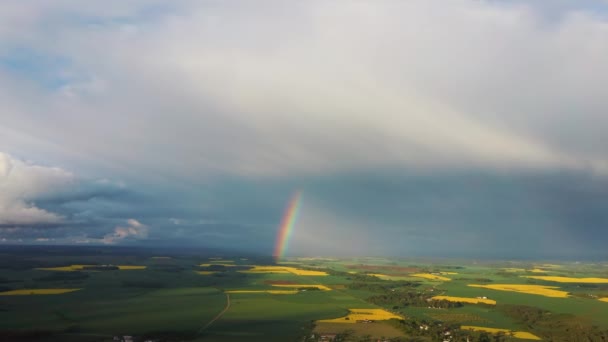 Rainbow Rape Field Blooming Canola Spring Aerial View Heavy Clouds — Vídeo de stock