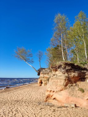 Veczemju Klintis, Veczemju Kayalıkları Baltık Denizi yakınlarında, Tuja, Letonya. Kireçtaşı ve Kum Mağaraları ile Güzel Deniz Kıyısı. Sakin, rahatlatıcı, meditasyon doğası. Romantik Akşam ve Tatil Konsepti