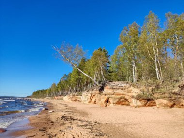 Veczemju Klintis, Veczemju Kayalıkları Baltık Denizi yakınlarında, Tuja, Letonya. Kireçtaşı ve Kum Mağaraları ile Güzel Deniz Kıyısı. Sakin, rahatlatıcı, meditasyon doğası. Romantik Akşam ve Tatil Konsepti